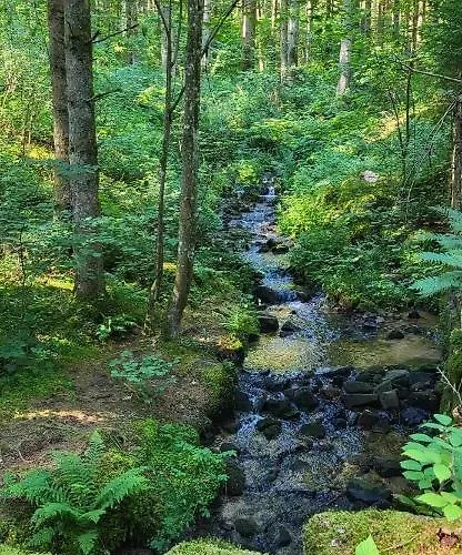 Le De La Folie * Corcieux